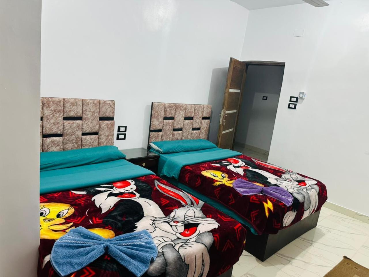 Mostafa Jamaica Guesthouse 阿斯旺 客房 照片